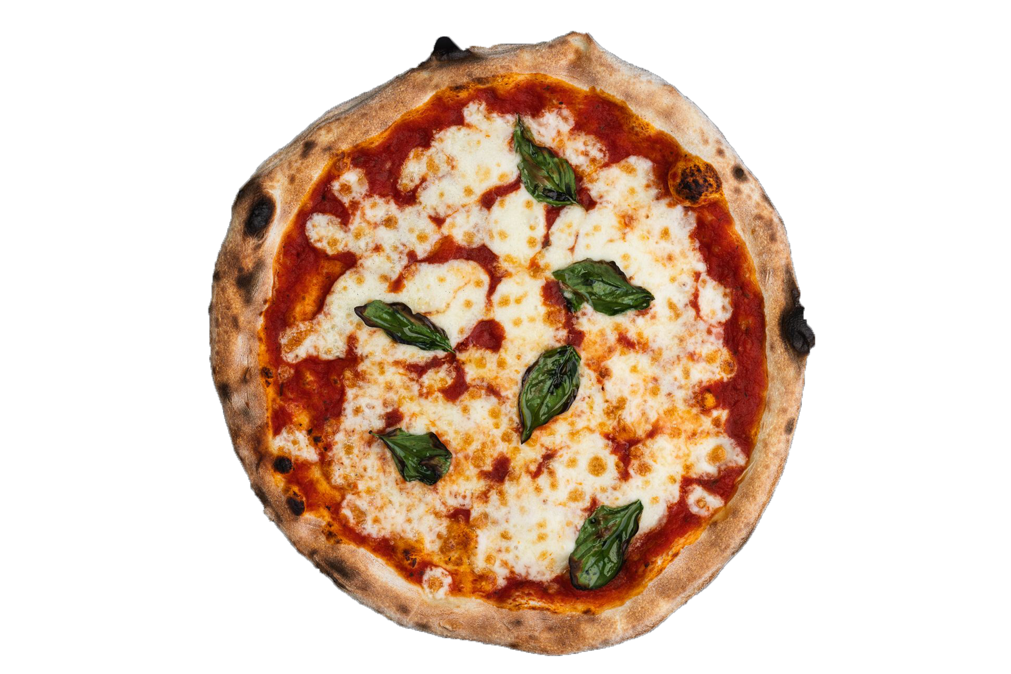Little Wing Pizzeria restaurant cover
