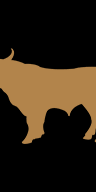 Miller & Carter logo
