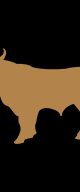 Miller & Carter logo