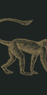 Mowgli Street Food logo
