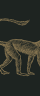Mowgli Street Food logo